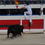 ... à la course camarguaise (IV) ...