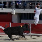 ... à la course camarguaise (V) ...