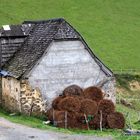 A la Croisée des Chemins - An der Kreuzung der Wege