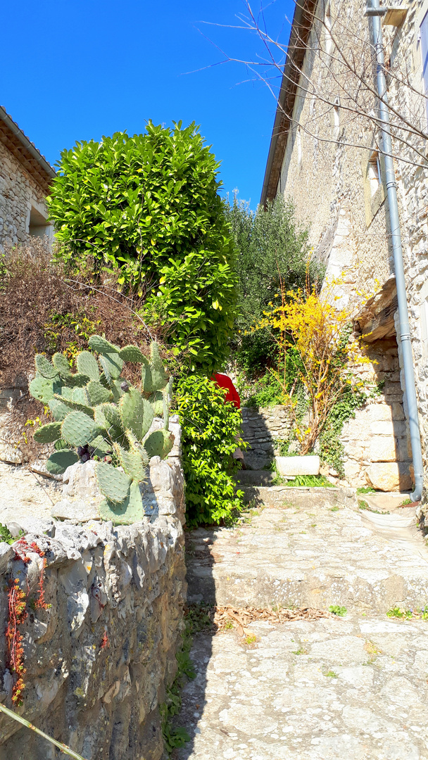 A la découverte d'Aubadiac, Gard - 6