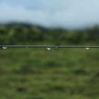 A la Espera, simplemente como gotas de rocío