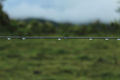 A la Espera, simplemente como gotas de rocío