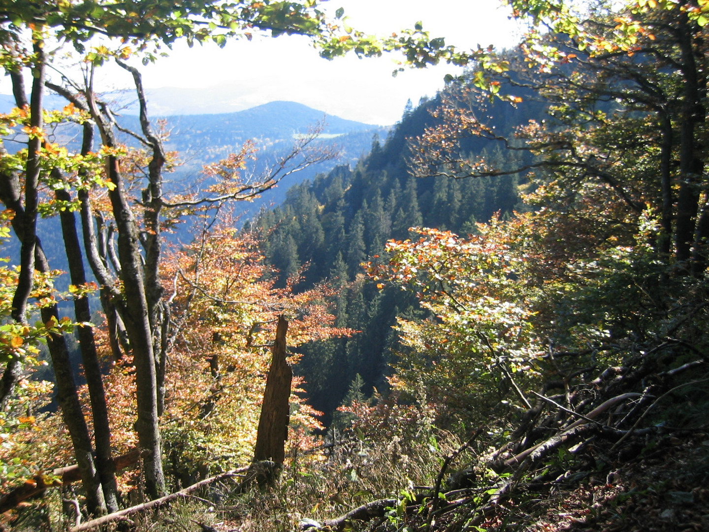 A la faveur de l'automne