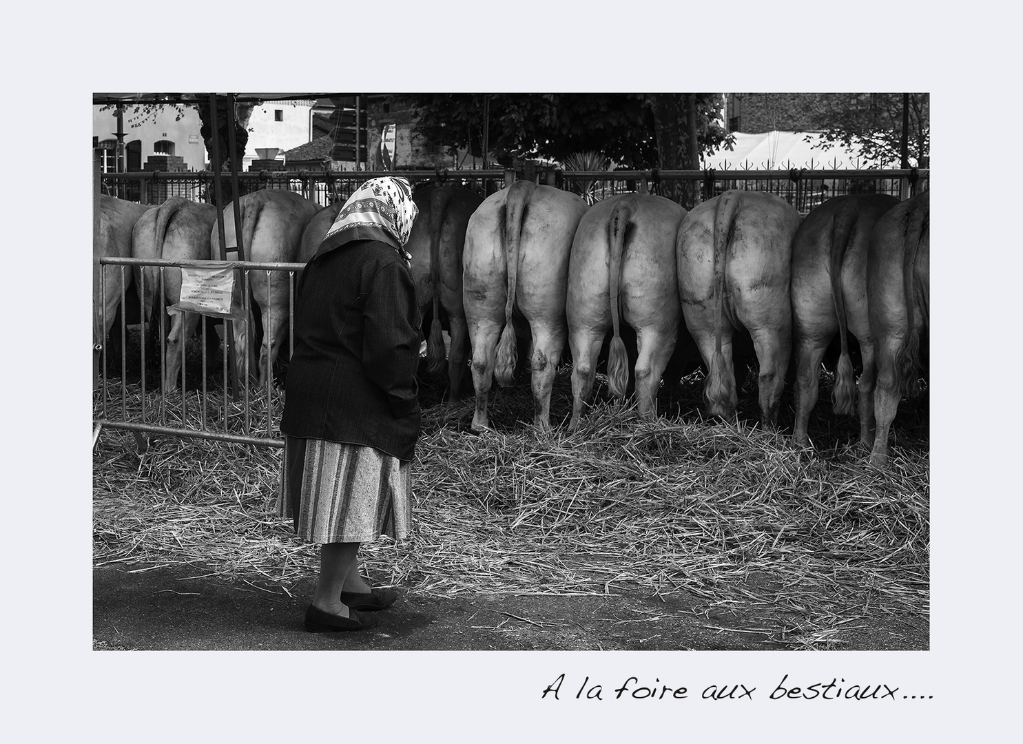 A la foire aux bestiaux