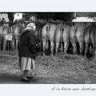 A la foire aux bestiaux