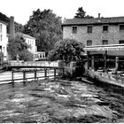 A la Fontaine de Vaucluse