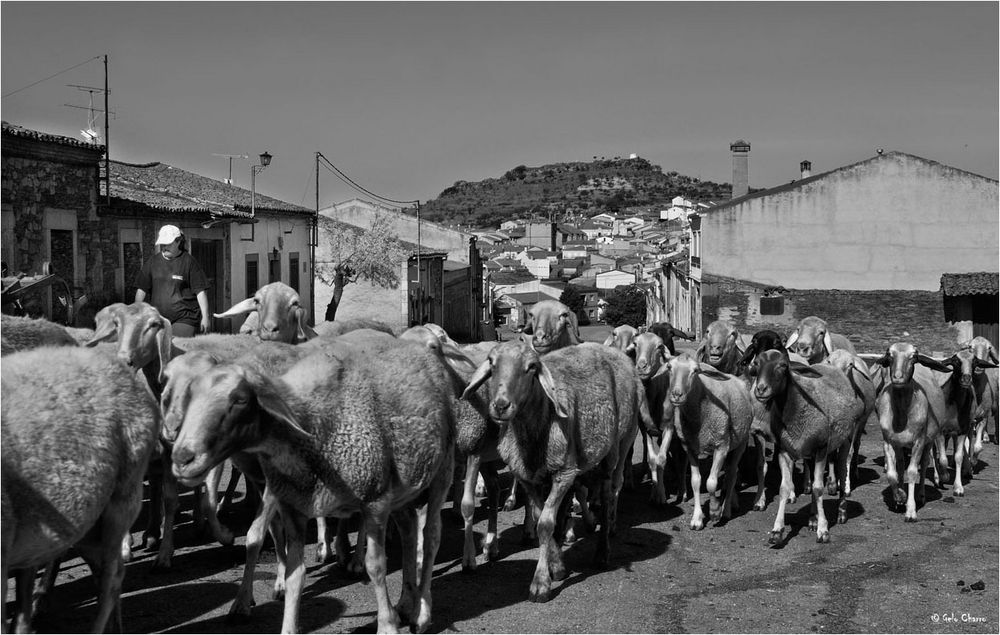 A la majada Imagen & Foto fotos, city, spain Fotos de