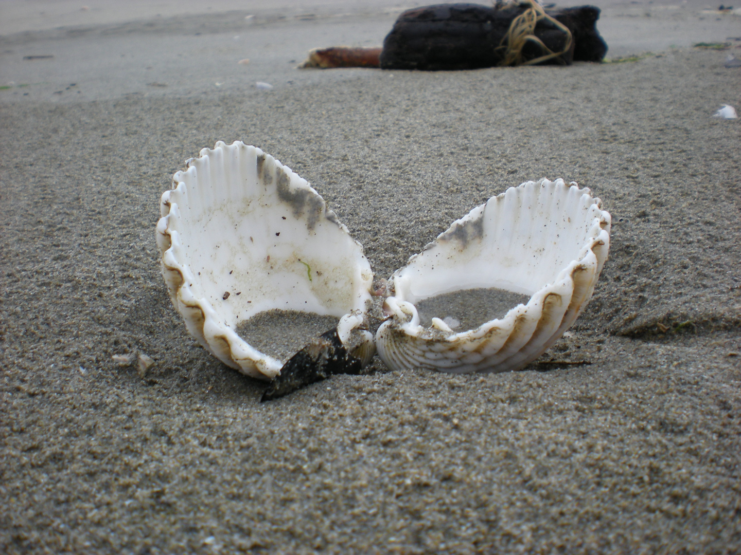 A la mer mediteranée