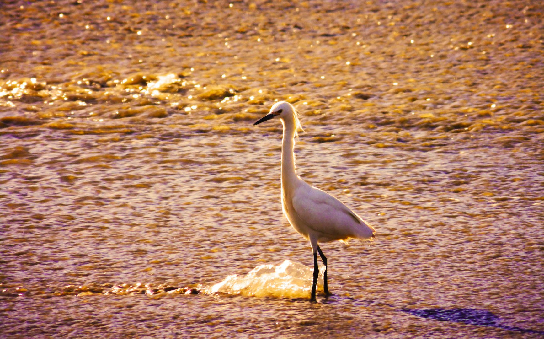 A la orilla del mar