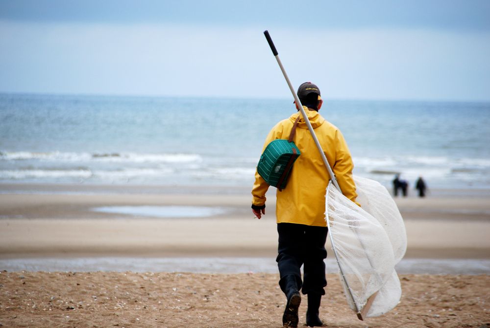 A la pêche