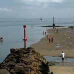 A la pêche aux ... coques