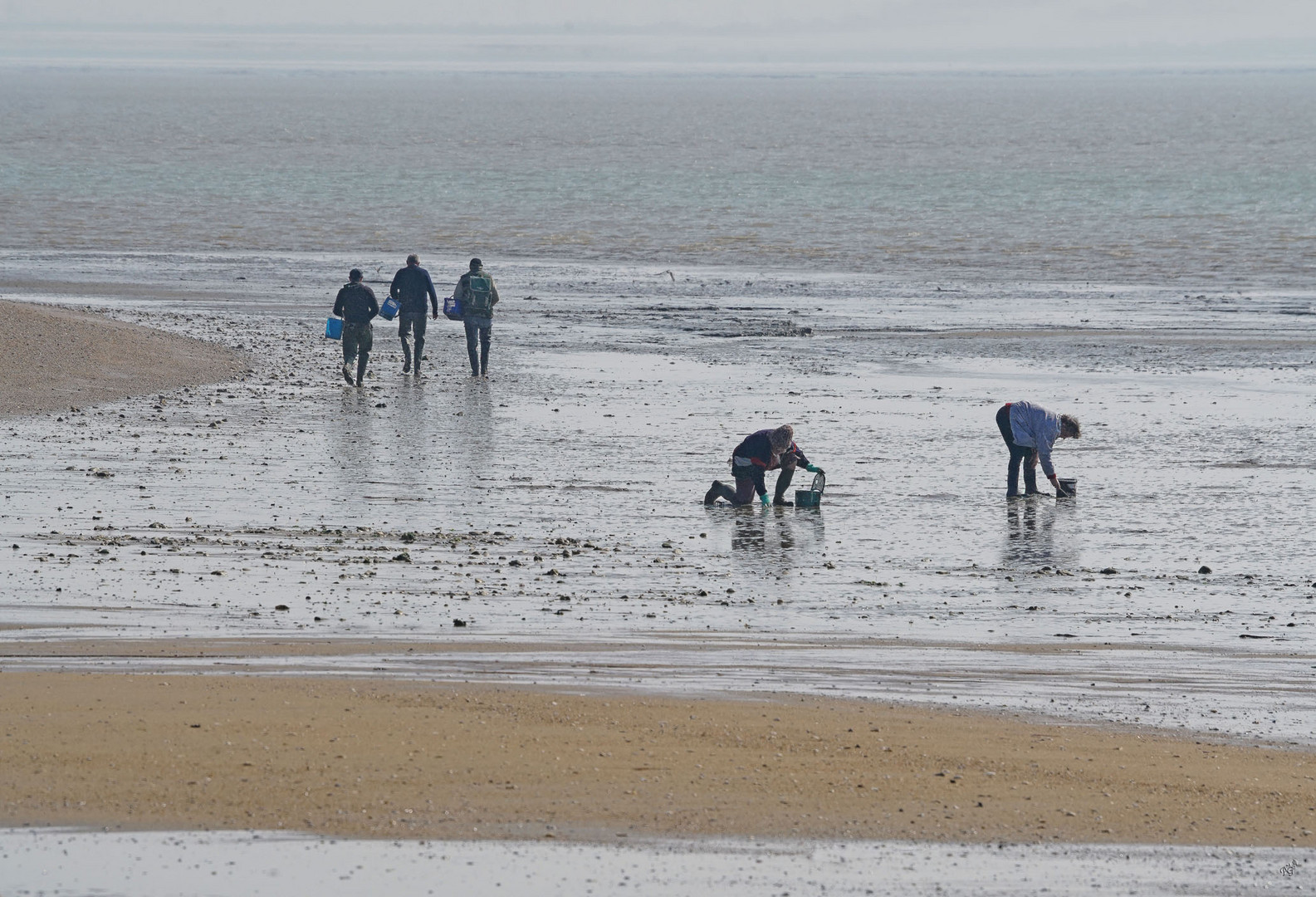 A la pêche aux coques et huitres....