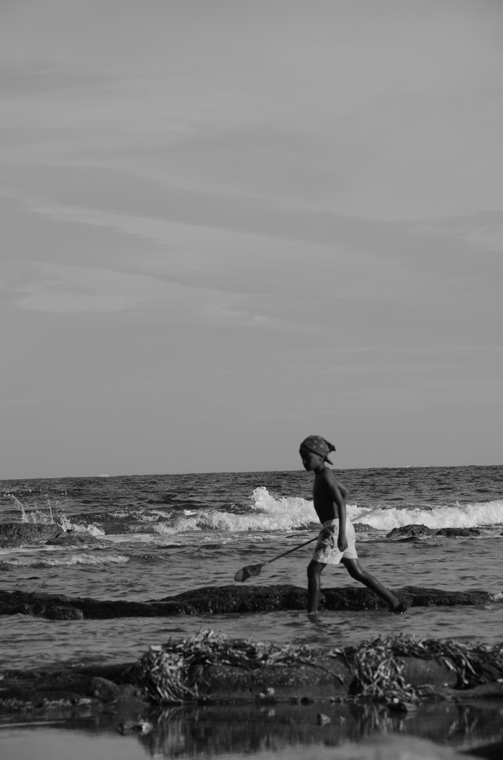 A la pêche aux crabes