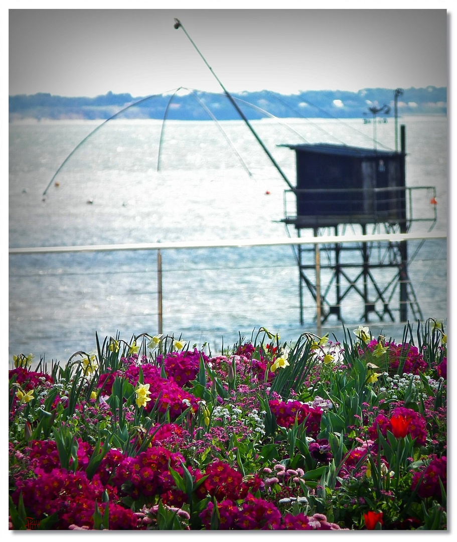 à la pêche aux fleurs