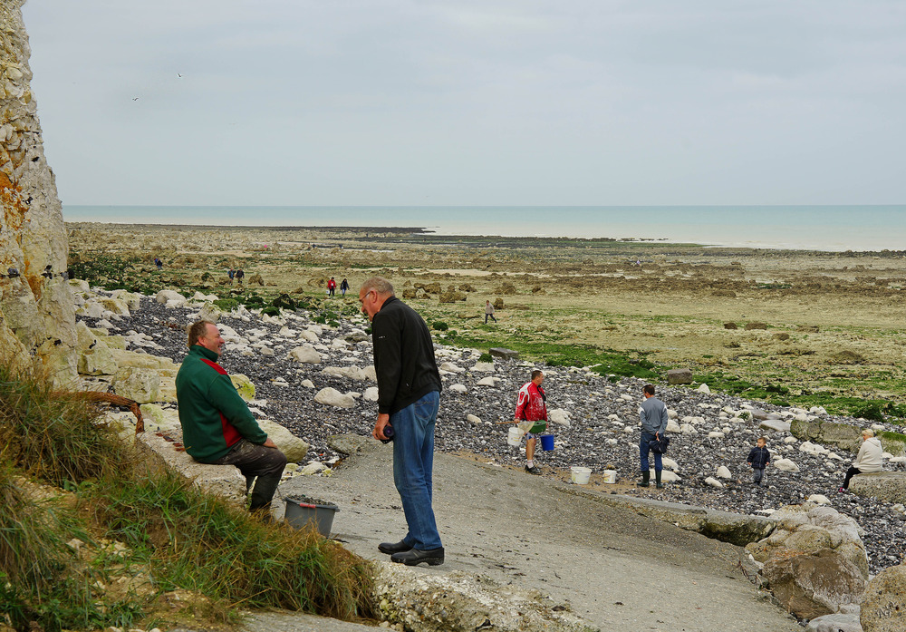 A la pêche aux moules .......