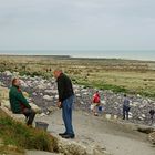 A la pêche aux moules .......