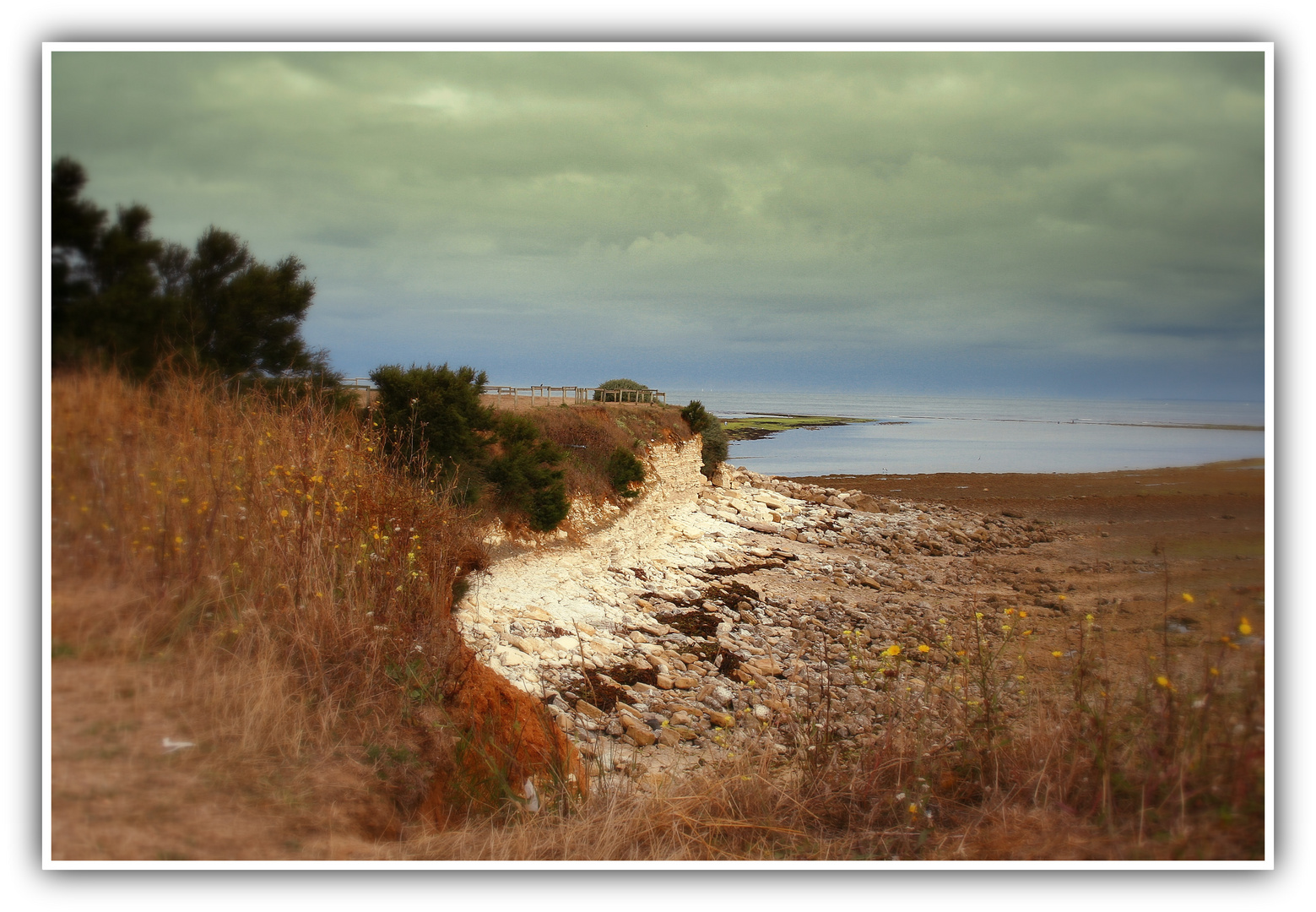 A la pointe de l'Ile