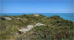 A la pointe du grouin