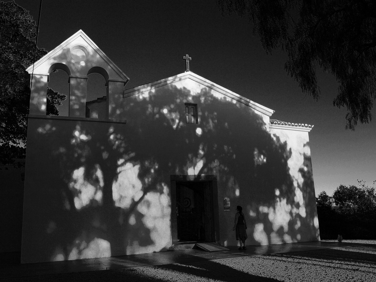 A la Sombra de la Sombra del arbol . . .