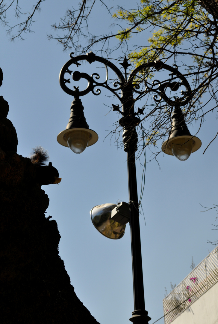 A la sombra de un árbol