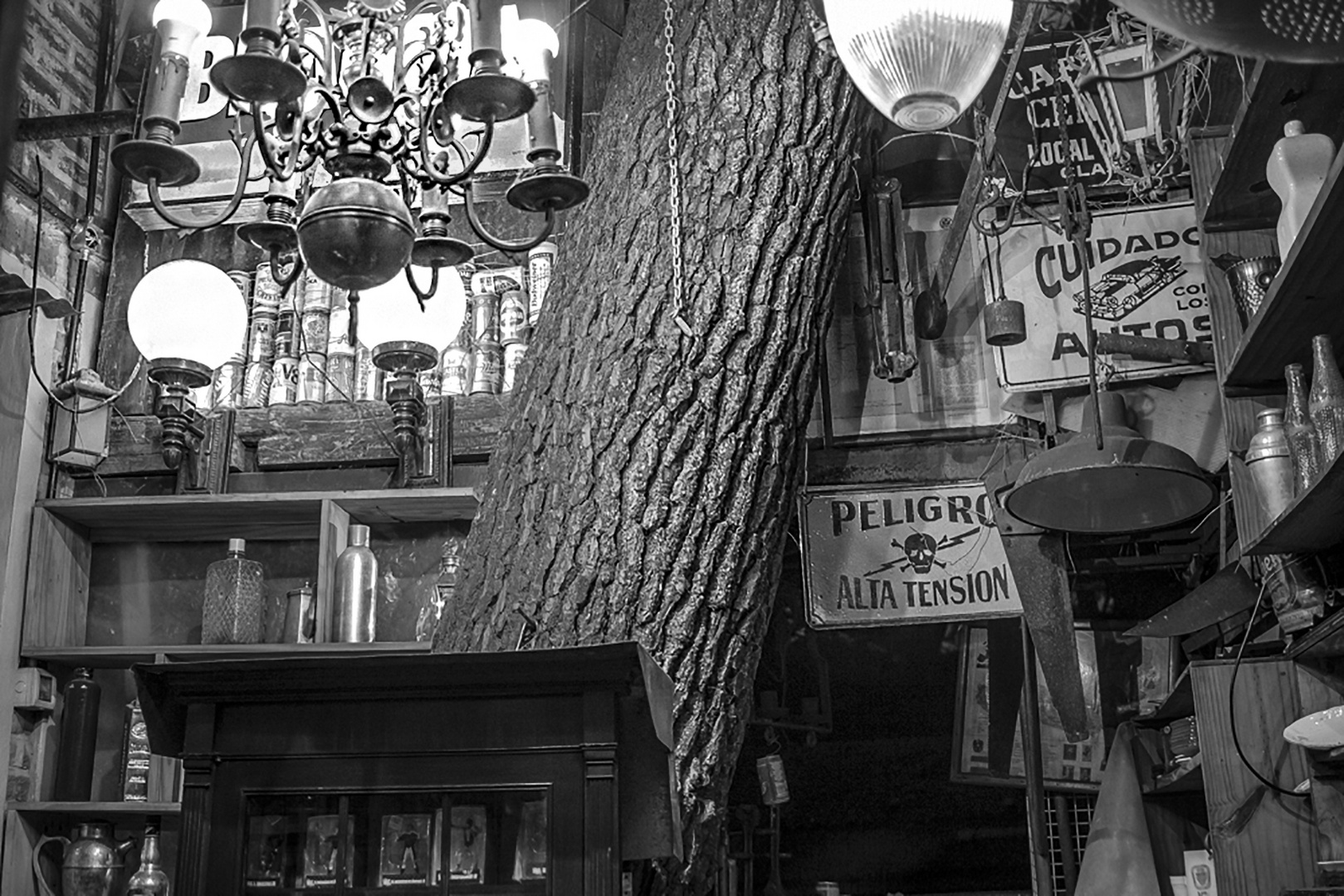 A la tienda de antiguedades le crecio un árbol