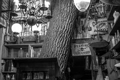 A la tienda de antiguedades le crecio un árbol