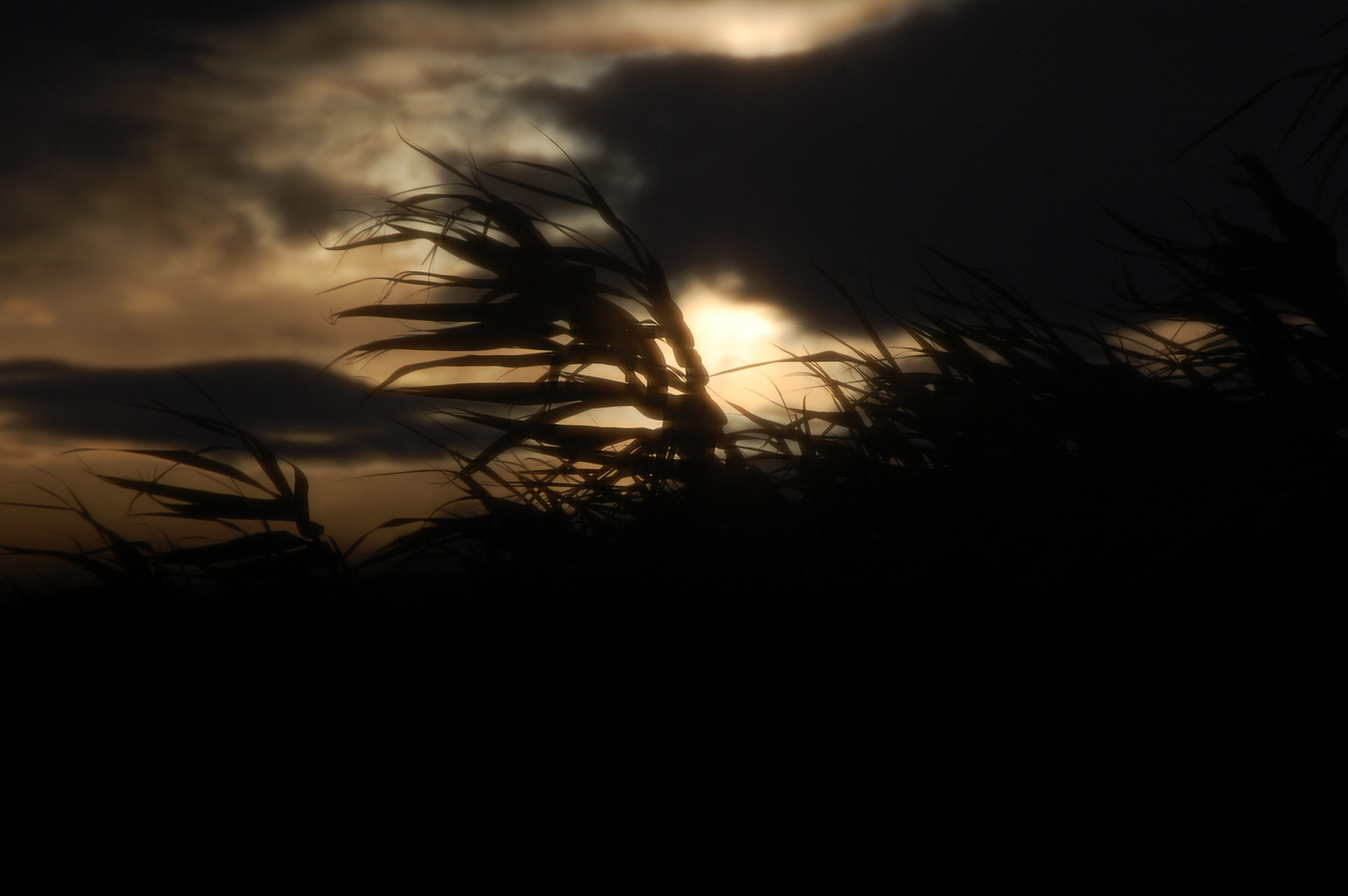 A la Tombée de la Nuit à la campagne