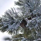 à l'abri du froid