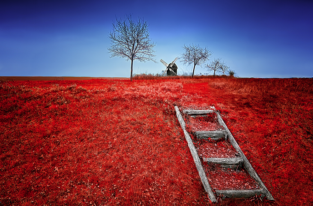 A Ladder for Don Quixote