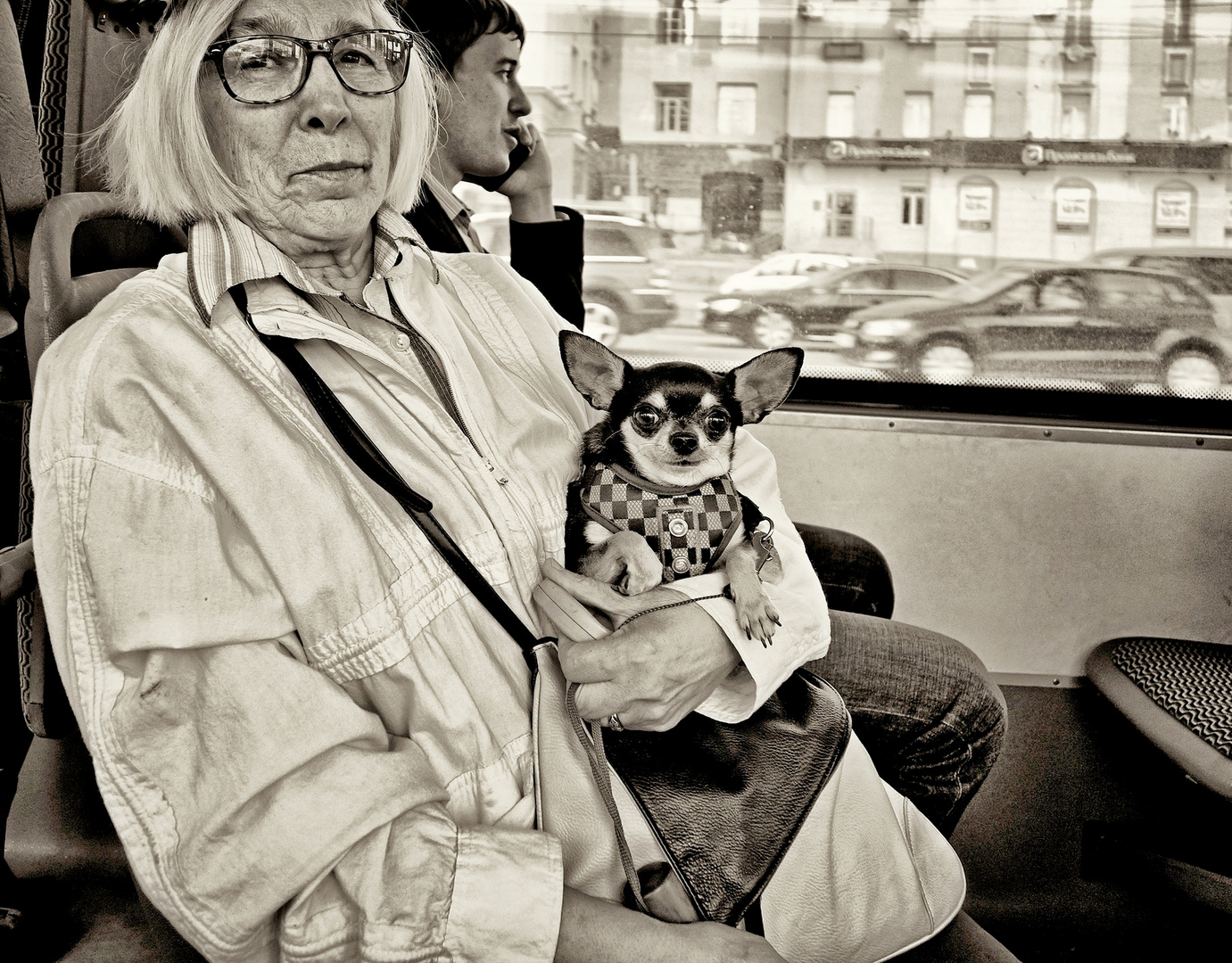a lady with a lapdog