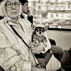 a lady with a lapdog