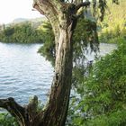 A lake in East Java