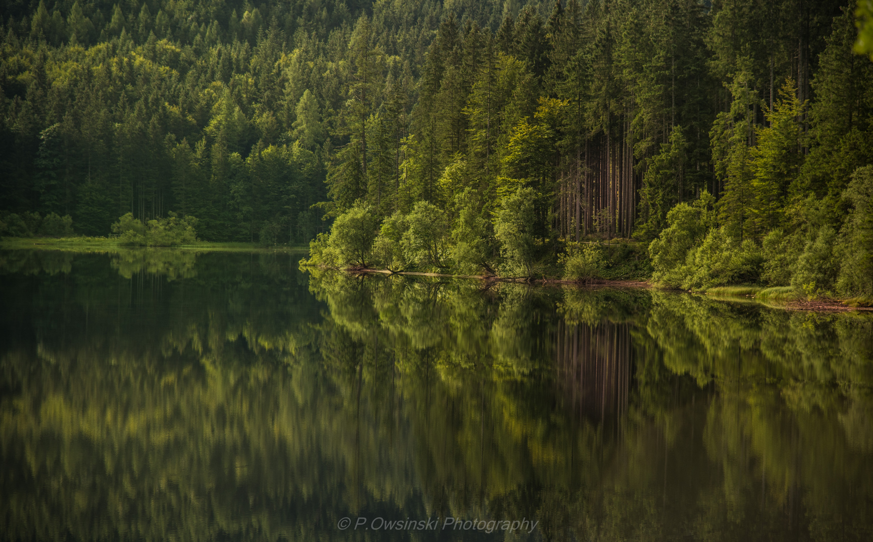 A lake is the landscape's most beautiful and expressive feature