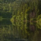 A lake is the landscape's most beautiful and expressive feature