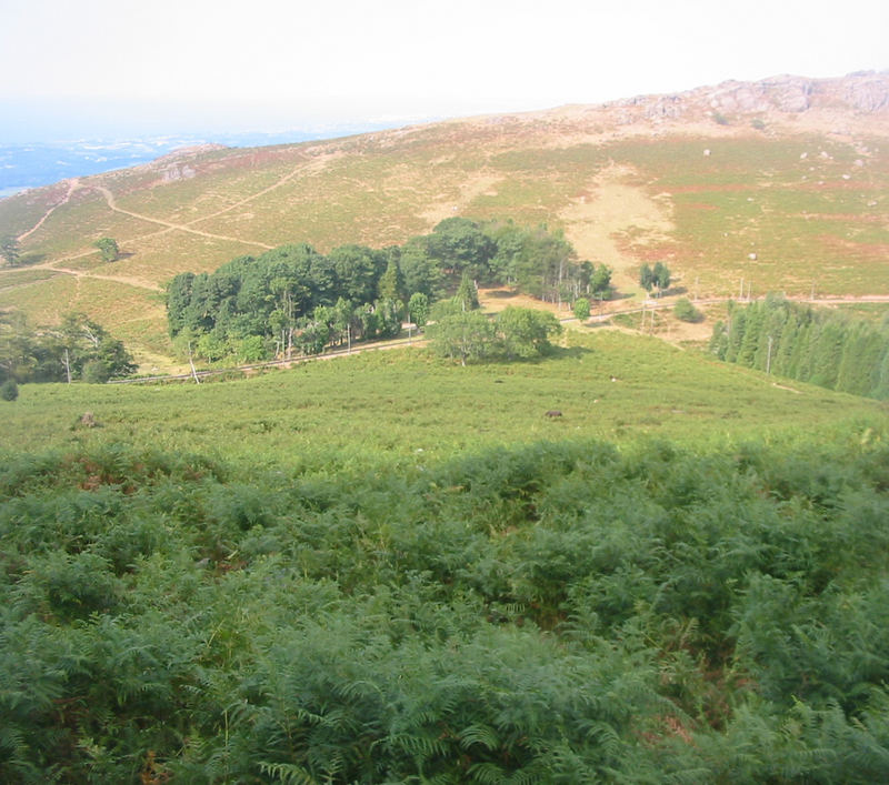 A Landscape in France