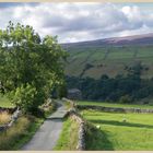 a lane near crackpot in swaledale