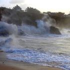 A l'assaut des falaises