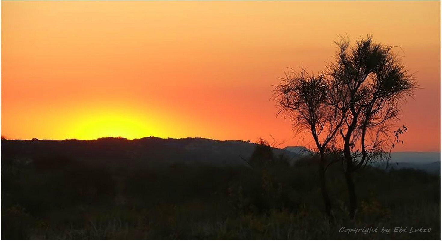 * A last glow over the Hart Ranges *