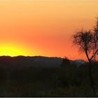 * A last glow over the Hart Ranges *