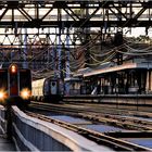 A Late Afternoon Meet at Westport