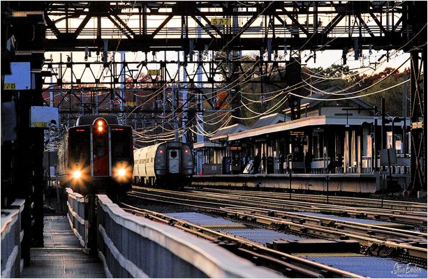 A Late Afternoon Meet at Westport