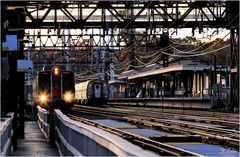 A Late Afternoon Meet at Westport