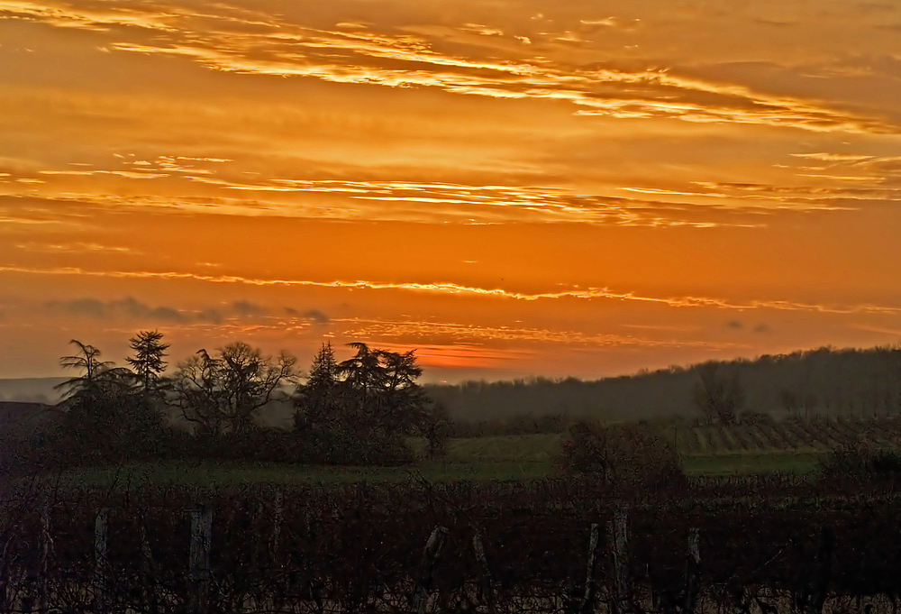 A l’aube dans la Ténarèze -- Morgendämmerung in der Ténarèze