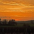 A l’aube dans la Ténarèze -- Morgendämmerung in der Ténarèze