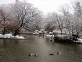 A Leapling Snowy Day at Arisugawa Park by Carina Bucu 