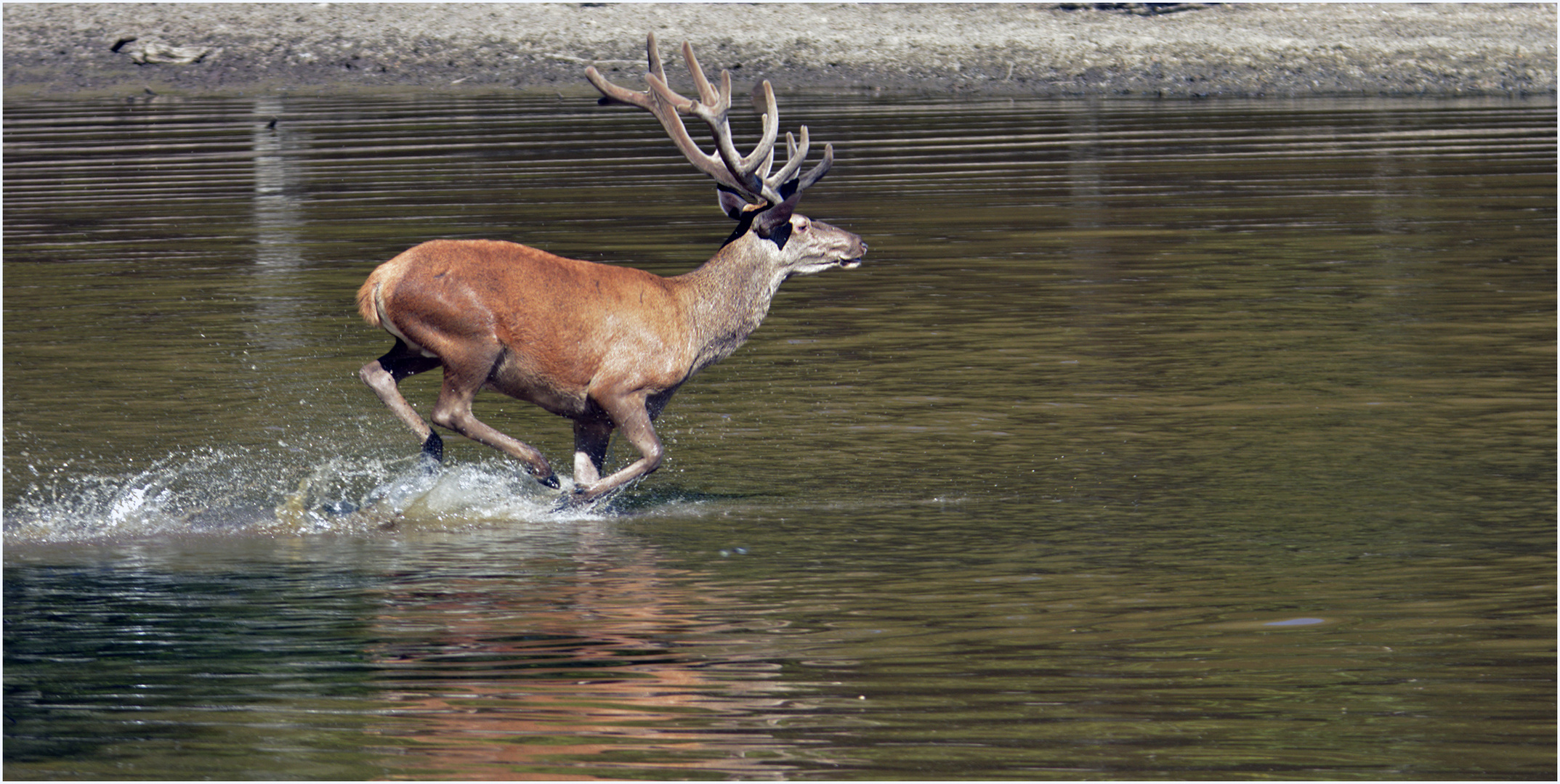 A l'eau vite !!!.