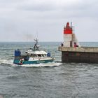 A l’entrée du part de Hossegor-Capbreton