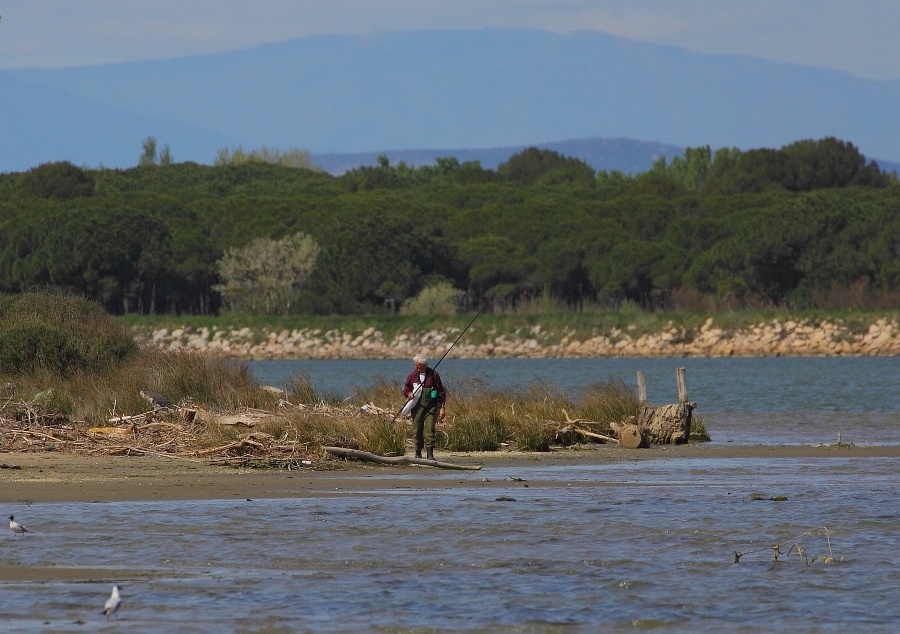 ... à l'Etang du Ponant (III) ...