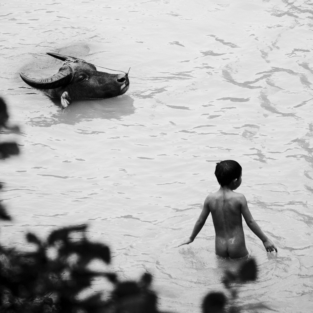 à l'heure de la baignade... (Région de Sapa, Nord Vietnam)