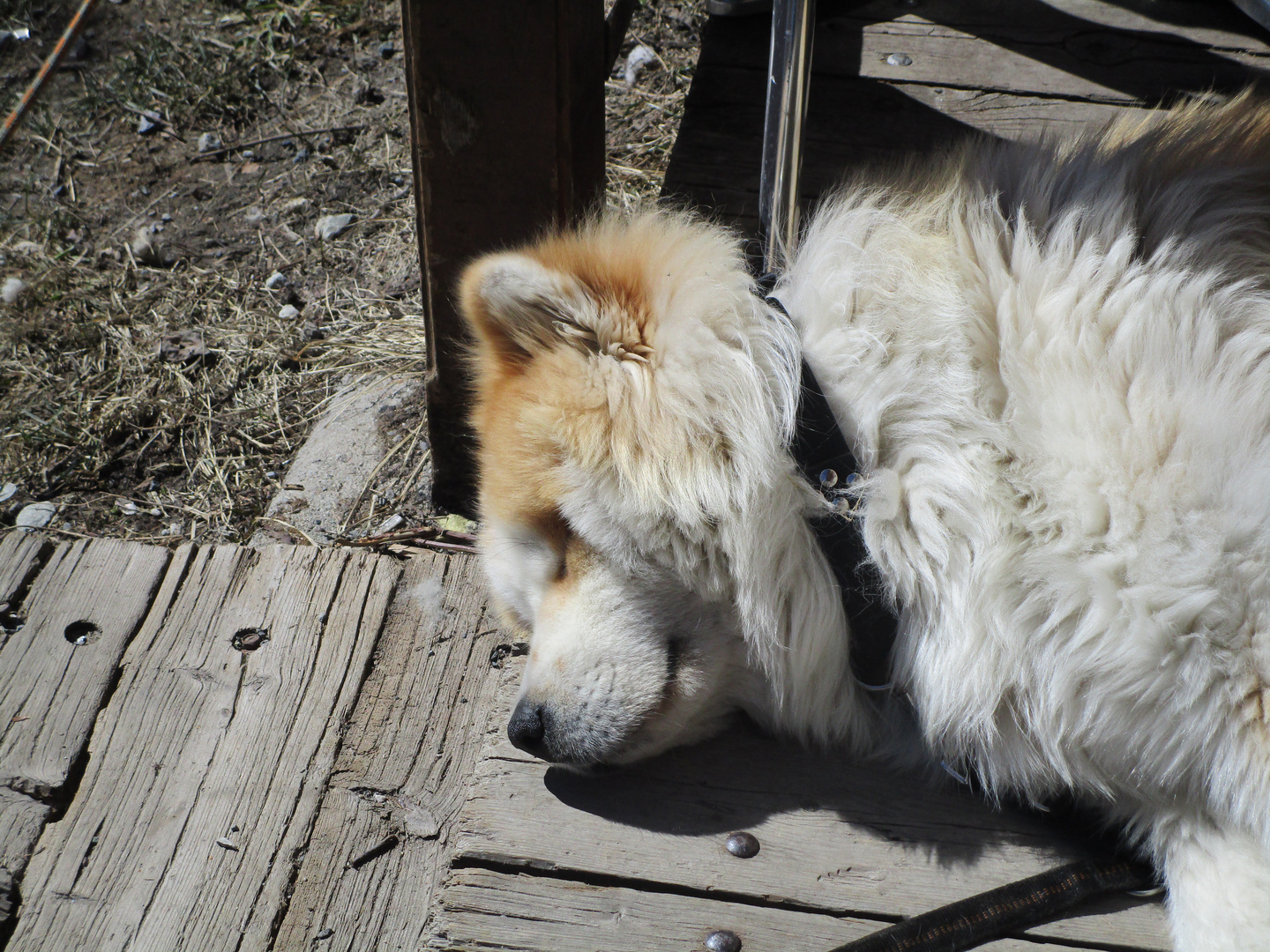 A l'heure de la sieste..